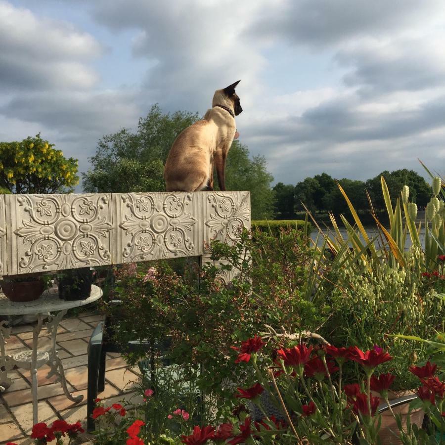 ロンドン チズウィック リビエラ Bed & Breakfast エクステリア 写真