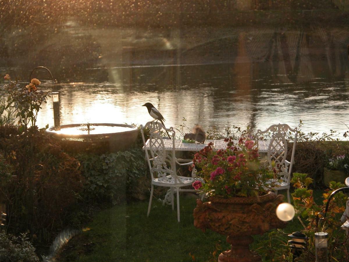 ロンドン チズウィック リビエラ Bed & Breakfast エクステリア 写真